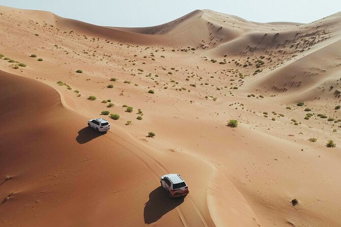 Desert Safari Dubai with Dune Bashing, Activities and Dinner - Key Things to Know Before You Go