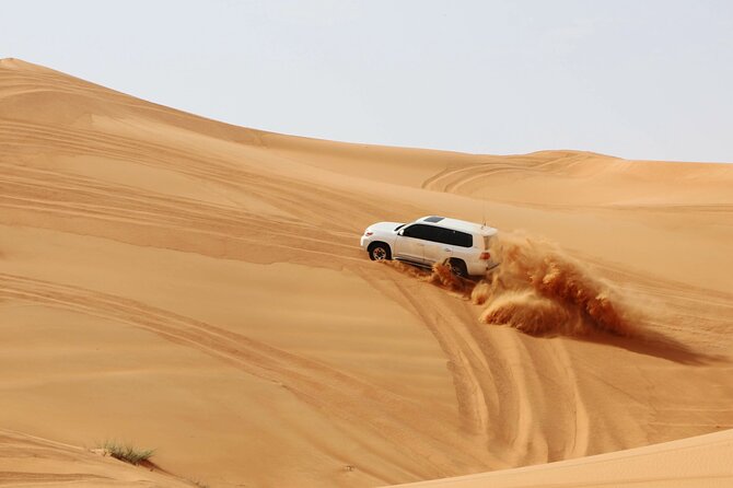 Desert Safari Dubai with Dune Bashing, Activities and Dinner - Red-Dunes Dune Bashing: The Main Event