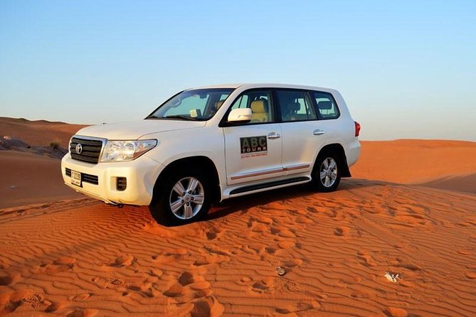 Desert Safari in a 4 x 4 with Sand Ski and Camel Ride from Dubai - Morning Desert Safari in a 4x4, with the Driver Focused on Control