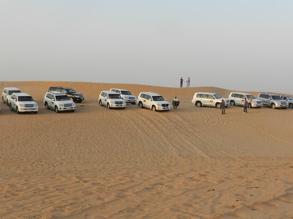 Desert Safari in a 4 x 4 with Sand Ski and Camel Ride from Dubai - The Desert Ride: What the 4x4 Dune Safari Feels Like