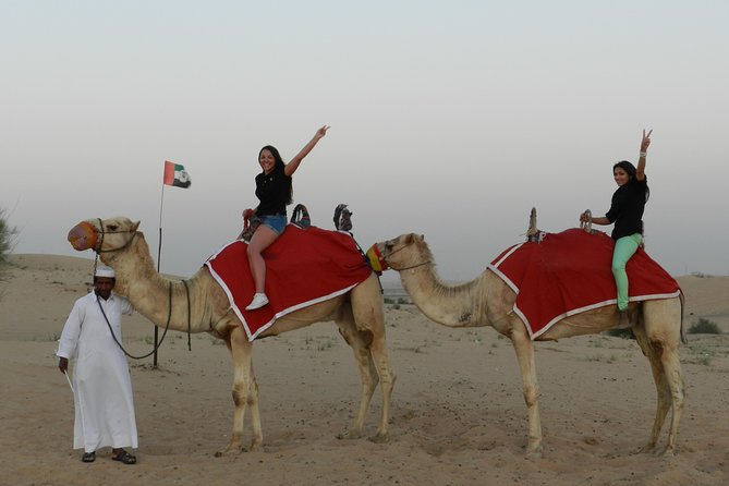 Desert safari in Dubai Red Dunes with BBQ VEG Dinner & Quad Bike - Entering dune country in a 4x4 Land Cruiser style vehicle