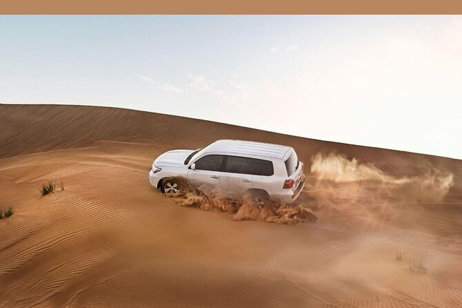 Desert Safari In Dubai With 4x4 Pick & Drop & Live Show - Key Highlights You’ll Care About