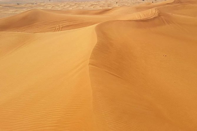 Desert Safari Red Dunes with Camel Ride, Sandboard, BBQ and Shows - Who should book this safari, and who might not love it