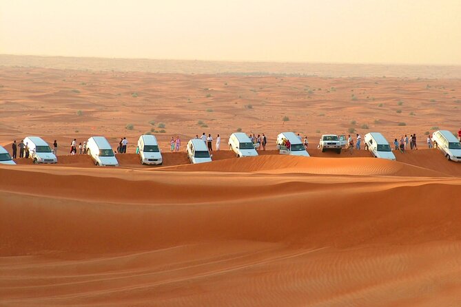 Desert Safari Redsand Dunes with BBQ Dinner in Dubai - The driver makes or breaks it: why Salim gets mentioned so often