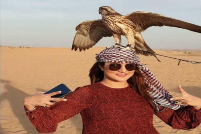 Desert Safari Tour, 6 Hour Fun, Family & Friends, Camel Ride & Dinner Included. - Dinner Included: BBQ Buffet, Veg and Non-Veg, Plus Henna and Shisha