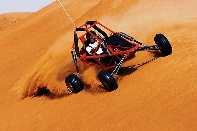 Desert Safari Tour, 6 Hour Fun, Family & Friends, Camel Ride & Dinner Included. - The Shows: Belly Dancers, Fire Performance, and Tanoura