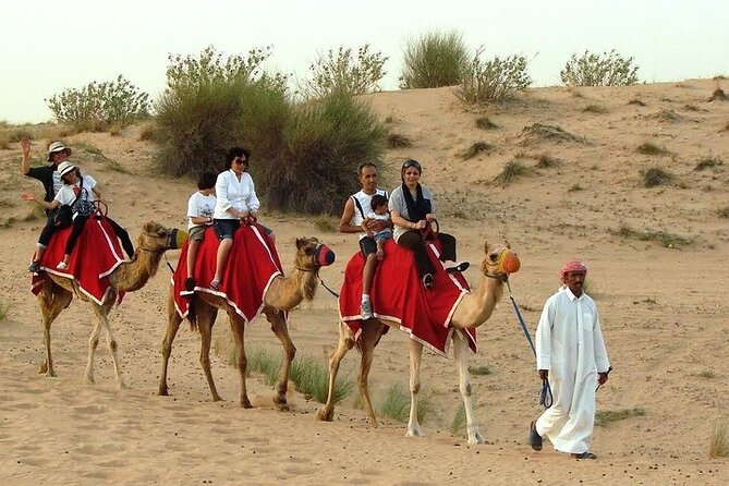 Desert Safari Tour, 6 Hour Fun, Family & Friends, Camel Ride & Dinner Included. - Family and Friends Format: What Works Well With Kids