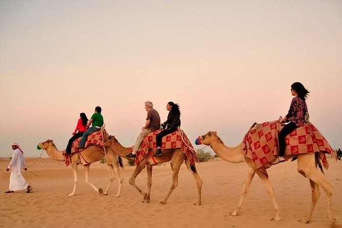 Desert Safari Tour with 30 Minutes Quad bike Ride - BBQ Buffet Dinner at the Campsite, and What You Should Expect