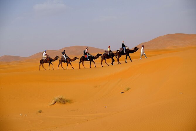 Desert Safari with BBQ Dinner from Dubai - Henna and sandboarding: fun you can actually take home