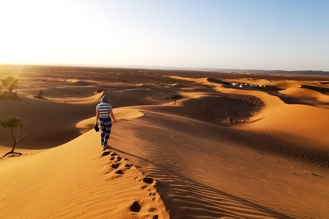 Desert Safari With BBQ Dinner, Quad Ride And And Sand-boarding - The Premium Desert Camp at Al Awir, and What Dinner Actually Looks Like