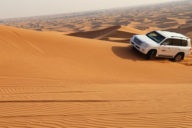 Desert Safari with BBQ Dinner (Sharing/Private) - Sunset Photos and the Rhythm of the Desert