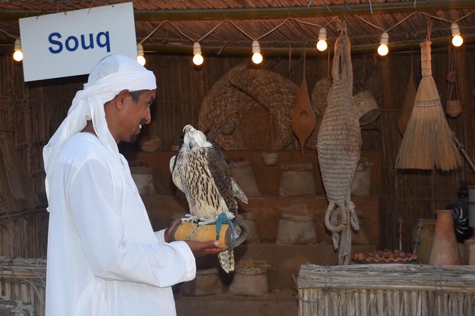 Desert Safari with BBQ Dinner - UAE Must Do - Who this tour suits best, and who should think twice