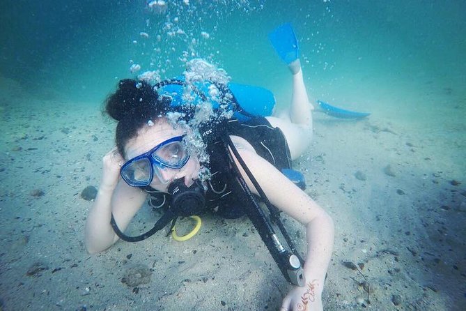 Discover Scuba Diving in Dubai - Where you’ll do the underwater session: Jumeirah Beach from the Palm
