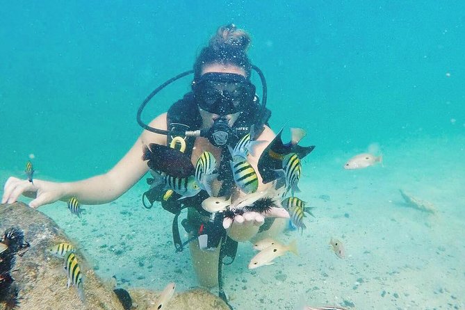 Discover Scuba Diving in Dubai - The 3-hour flow: from gear checks to your first breath