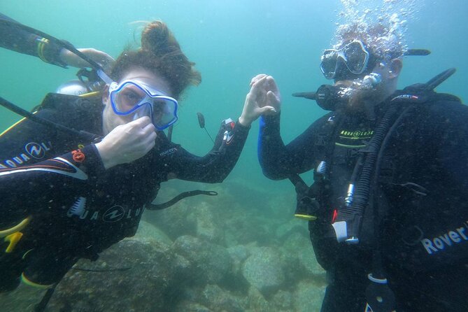 Discover Scuba Diving in Fujirah Dibba - A quick scuba taster in Fujairah, not a multi-day course