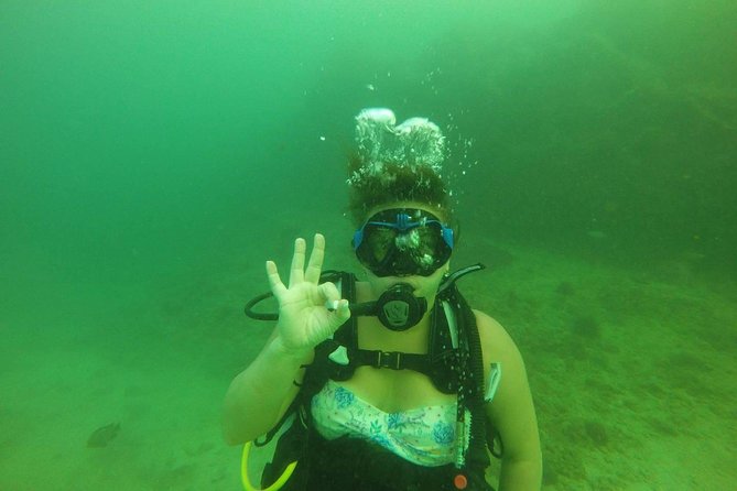 Discover Scuba Diving in Fujirah Dibba - The underwater session: what you can actually see