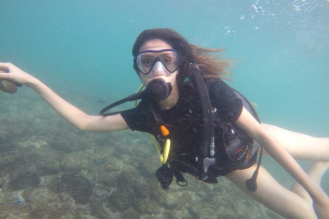 Discovery Scuba Diving in Dubai - Your underwater session up to 6 to 8 meters