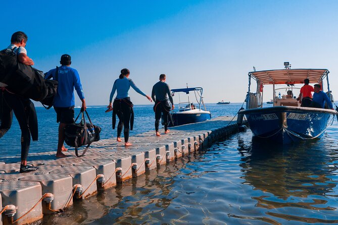 Dive trip to the coral reefs of Fujairah for certified scuba divers - Key Highlights You’ll Care About