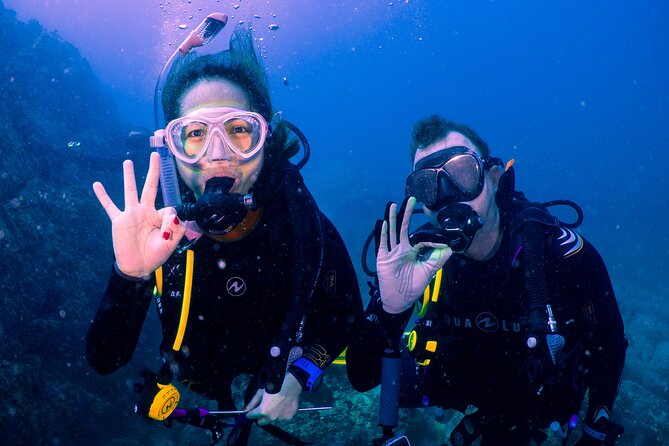 Dive trip to the coral reefs of Fujairah for certified scuba divers - What You Actually Get for $205.14: Gear, Underwater Guide, and Reef Time