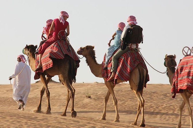 Dubai 30 Mins Quad Bike Desert Drive & Safari - Morning - How the 4 Hours Feel: Short, Intense, and Not a Long Drag