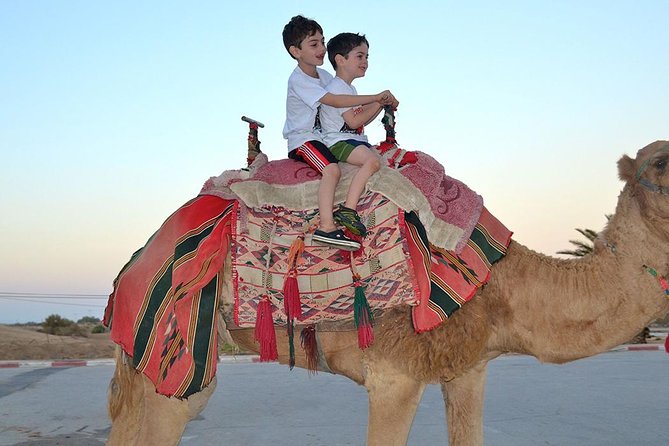 Dubai 30 Mins Quad Bike Desert Drive & Safari - Morning - Dune Bashing: The Roller-Coaster Drive (Plus High-Dune Option)