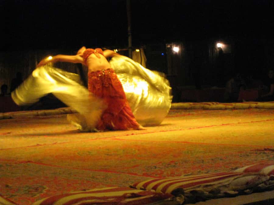 Dubai 4WD Evening Desert Safari - The camel farm and your first taste of Bedouin-style activity