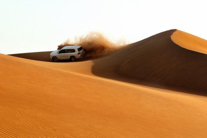 Dubai: Adventure Evening Desert Safari, Camel Ride, Shows & BBQ Dinner - What This Safari Feels Like, Action to Camp in One Sweep