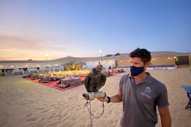 Dubai Afternoon Desert Safari and BBQ Dinner - Who should book this, and who should skip it