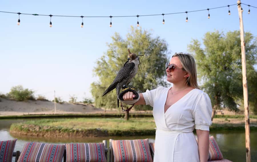 Dubai: Al Marmoom and Al Qudra Lakes Guided Tour with Dinner - A 6-hour desert reset: Al Qudra Lakes to Al Marmoom Oasis