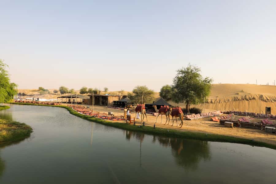 Dubai: Al Marmoom and Al Qudra Lakes Guided Tour with Dinner - Al Qudra Lakes and the Bird Reserve: where the desert looks alive