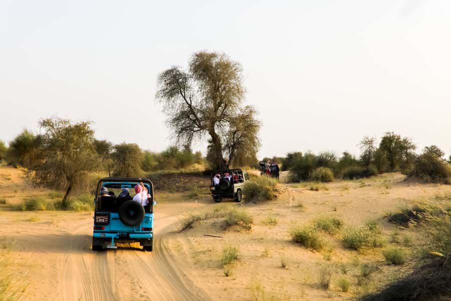 Dubai: Al Marmoom and Al Qudra Lakes Guided Tour with Dinner - Price and value for $190 per person in Dubai