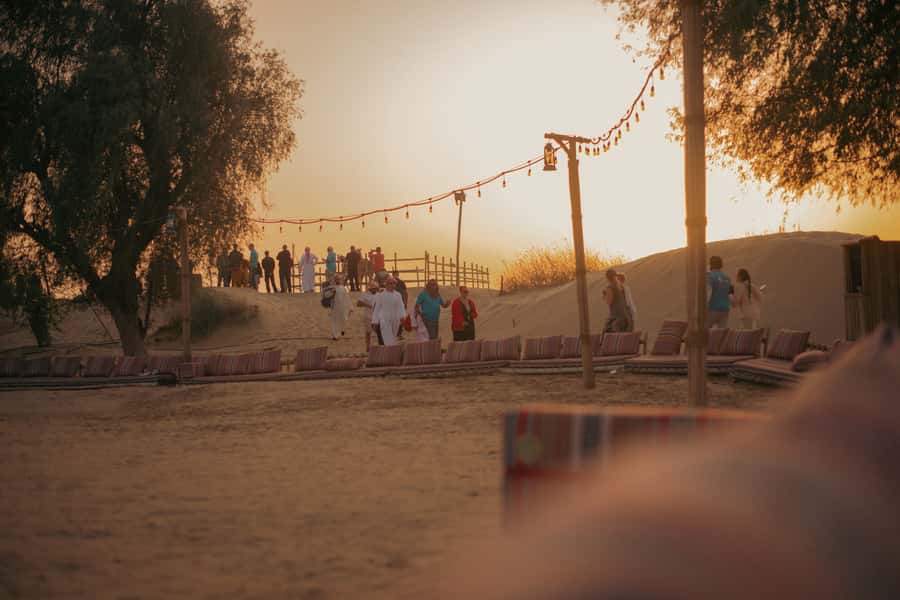 Dubai: Al Marmoom and Al Qudra Lakes Guided Tour with Dinner - Who should book this Al Marmoom and Al Qudra tour