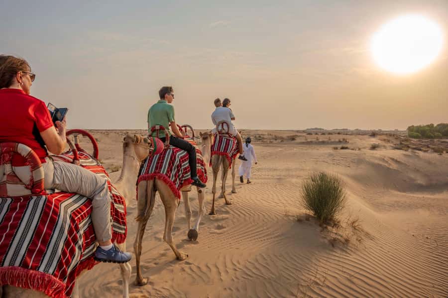 Dubai: Al Marmoom Oasis Camp Experience with Bedouin Dinner - Al Marmoom Oasis on the way in: plants, wildlife, and what to look for