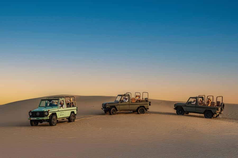 Dubai: Al Marmoom Oasis Safari, Animal Spotting & Breakfast - The Vintage G-Class Mercedes Ride, Open-Air Views That Actually Help
