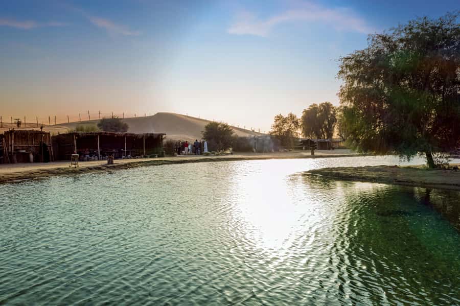 Dubai: Al Marmoom Oasis Safari, Animal Spotting & Breakfast - Camel Caravan Time, Gentle Enough for Most People, But Not Everyone