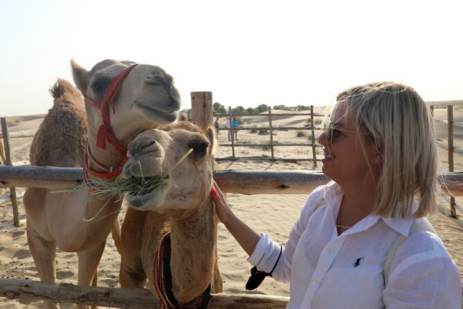 Dubai: Al Marmoom Oasis Vintage Safari: Camels, Stargazing & Meal - Al Marmoom Oasis feels calmer than most Dubai desert nights