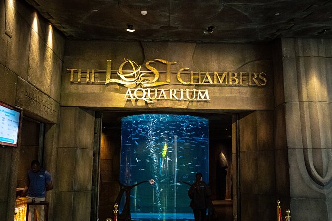 Dubai Aladdin Adventure with entry view the palm and Atlantis - Transport, group size, and guides: why the “small group” part matters