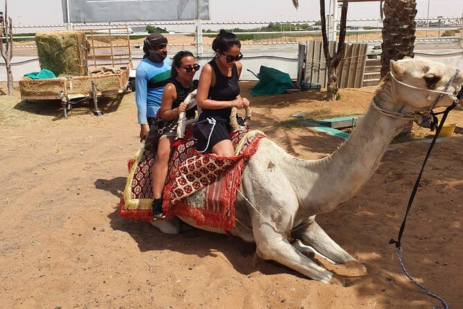 Dubai: All Inclusive Desert Safari with ATV, Camel, Horse ride, Vip & more - Sandboarding and the Sunset Photo Stop You’ll Actually Use