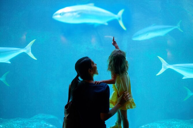 Dubai Aquarium and Underwater Zoo - The heart of the visit: Rainforest, Rocky Shore, and Living Ocean