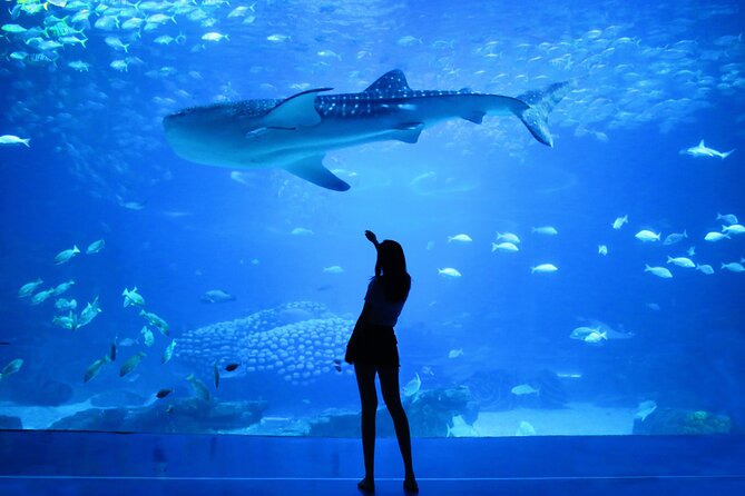 Dubai Aquarium and Underwater Zoo - What you’ll actually see: species variety without the hype