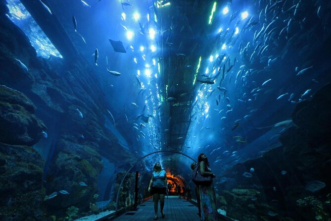 Dubai Aquarium and Underwater Zoo Admission Ticket with Options - Key things you should know before you go