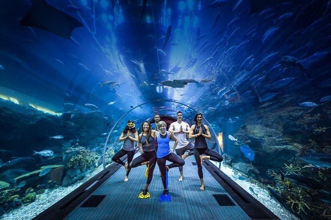 Dubai Aquarium and Underwater Zoo Admission Ticket with Options - Dubai Mall location: why this ticket is easy to fit into a Dubai day