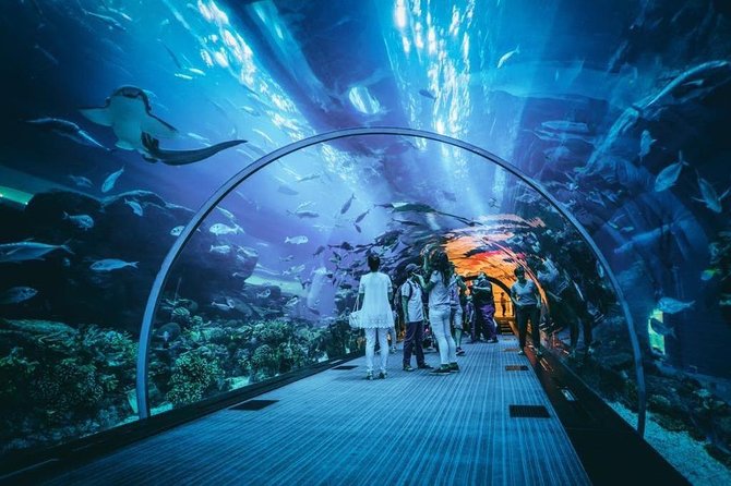 Dubai Aquarium and Underwater Zoo Admission Ticket with Options - Who this experience fits best
