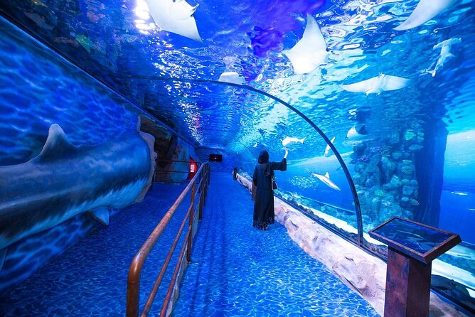 Dubai Aquarium and Underwater Zoo Admission Ticket with Options - Underwater Zoo: King Crocs and the night-creature twist