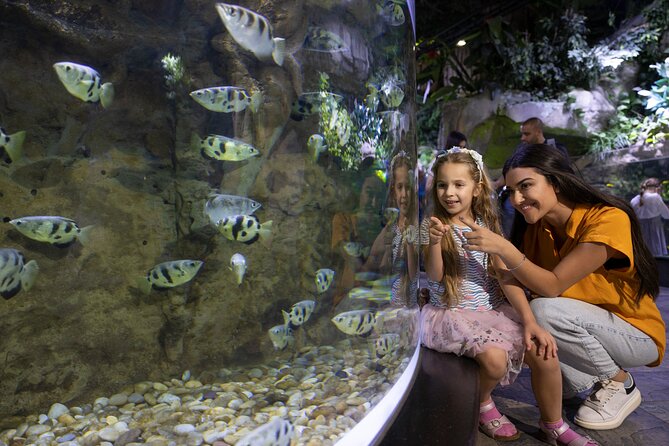 Dubai Aquarium and Underwater Zoo Entrance Ticket - Dubai Mall’s Aquarium Tunnel: The 10 Million Liter Wow Factor