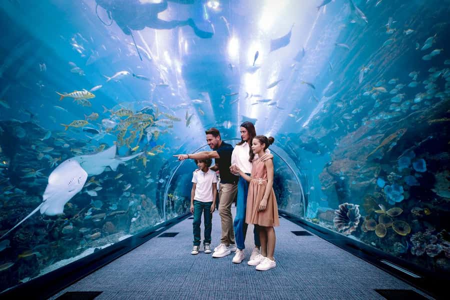 Dubai: Aquarium and Underwater Zoo Experience - Key Highlights You Should Aim For
