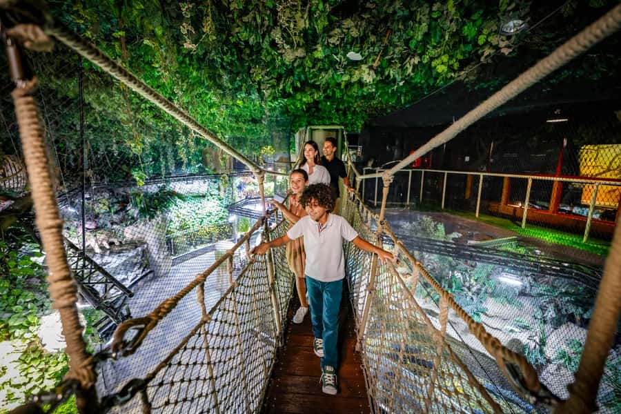 Dubai: Aquarium and Underwater Zoo Experience - Your Best Starting Point Inside Dubai Aquarium and Underwater Zoo