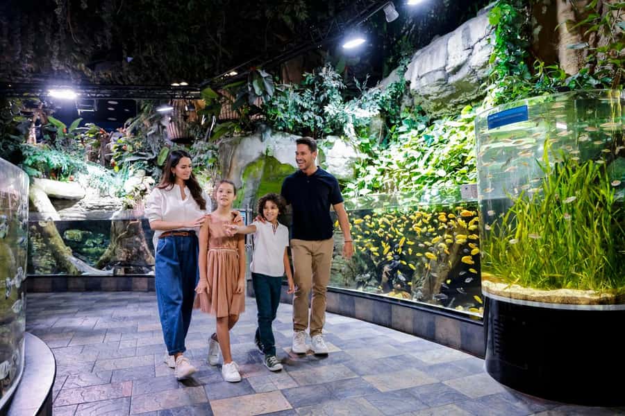 Dubai: Aquarium and Underwater Zoo Experience - The Extra Experiences People Mention Most: Boat Rides, Feeding, and Otter Encounters