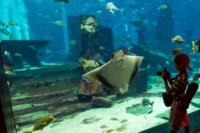 Dubai Aquarium and Underwater Zoo with Penguin Cove Tickets. - Dubai Mall Aquarium and Underwater Zoo: The Smart Indoor Plan