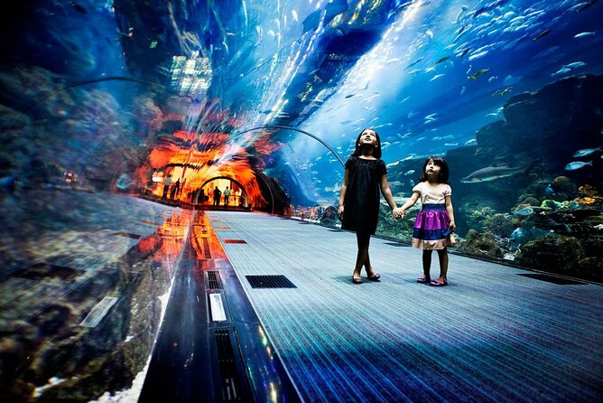 Dubai Aquarium and Underwater Zoo - King Croc, otters, and the on-site animal programming